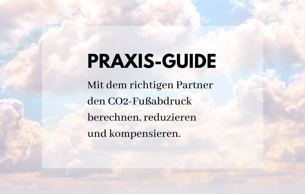 Praxis-Guide